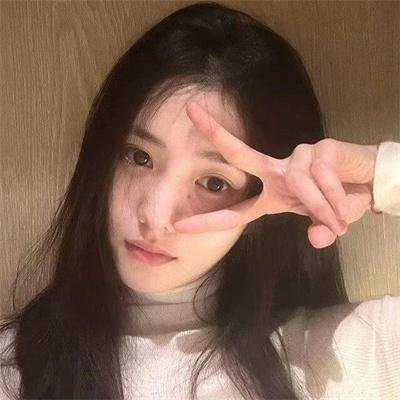 野狗们